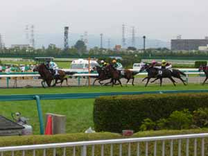 阪神競馬場