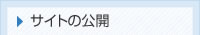 サイトの公開