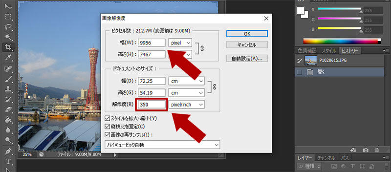 印刷用に解像度を 350ppi に変更